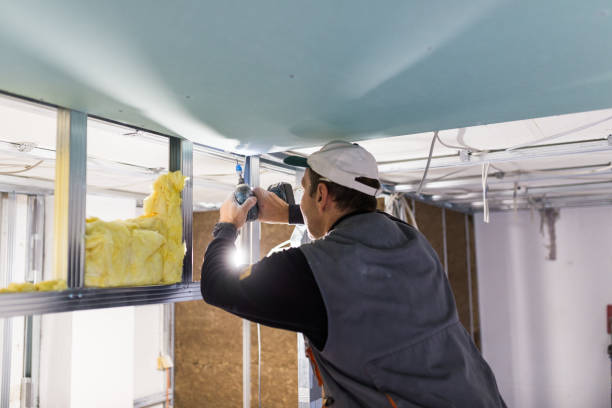Trusted Seminole, FL Insulation Contractor Experts