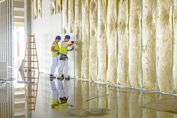 Types of Insulation We Offer in Seminole, FL